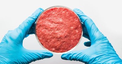 These States Are Fighting Hard AGAINST Lab Grown Meat, Find Out Why...