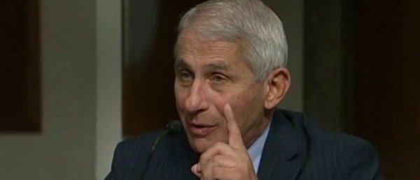 Trump hits Fauci, says his &#039;pitching arm&#039; is &#039;far more accurate than his prognostications&#039;