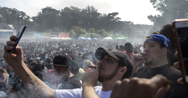 Experience The Green Revolution: San Francisco Celebrates First-Ever &quot;Weed Week&quot;